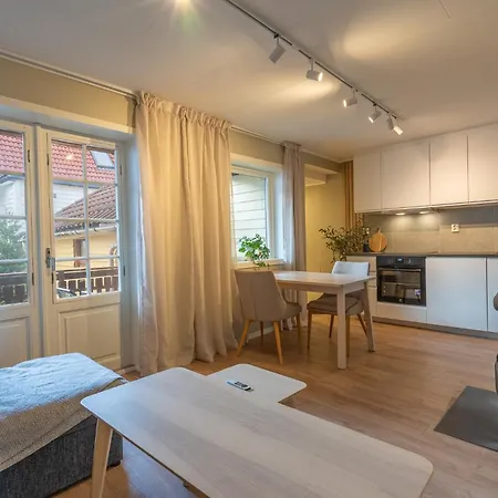Central Family Apartment - Well Equipped And Newly Renovated